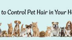pet hair tips edit image