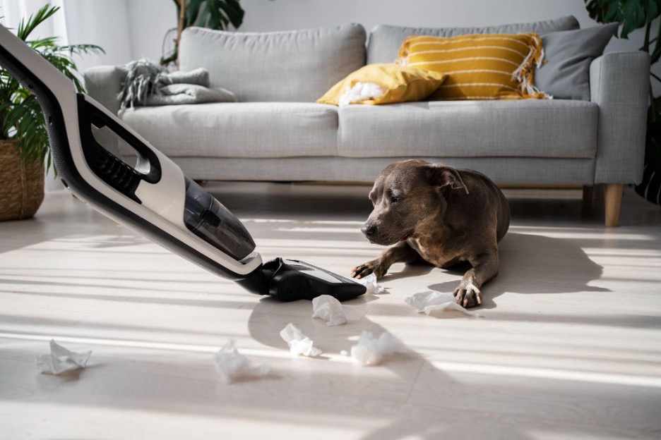 best vacuum for pet hair on carpets